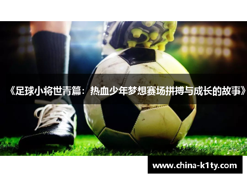 《足球小将世青篇：热血少年梦想赛场拼搏与成长的故事》